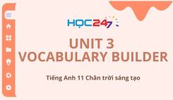 Unit 3 - Vocabulary Builder