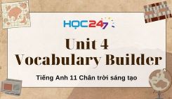 Unit 4 - Vocabulary Builder