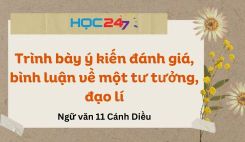 Trình bày ý kiến đánh giá, bình luận về một tư tưởng, đạo lí
