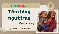 Tấm lòng người mẹ - Vích-to Huy-gô
