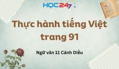 Thực hành tiếng Việt trang 91