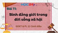 Bài 11: Bình đẳng giới trong đời sống xã hội