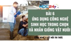 Bài 6: Ứng dụng công nghệ sinh học trong chọn và nhân giống vật nuôi