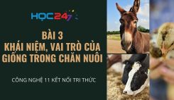 Bài 3: Khái niệm, vai trò của giống trong chăn nuôi