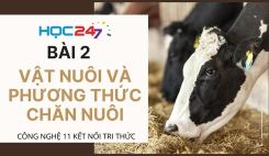 Bài 2: Vật nuôi và phương thức chăn nuôi