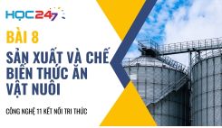 Bài 8: Sản xuất và chế biến thức ăn vật nuôi