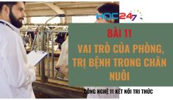 Bài 11: Vai trò của phòng, trị bệnh trong chăn nuôi