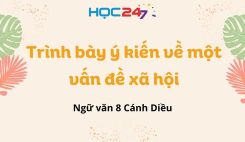 Trình bày ý kiến về một vấn đề xã hội