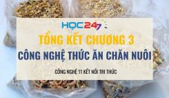 Tổng kết Chương 3
