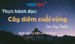 Thực hành đọc: Cây diêm cuối cùng