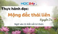 Thực hành đọc: Mộng đắc thái liên