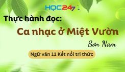Thực hành đọc: Ca nhạc ở Miệt Vườn