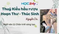 Thuý Kiều hầu rượu Hoạn Thư – Thúc Sinh