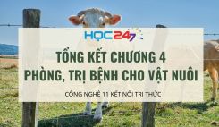 Tổng kết Chương 4