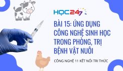 Bài 15: Ứng dụng công nghệ sinh học trong phòng, trị bệnh vật nuôi