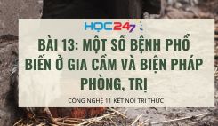 Bài 13: Một số bệnh phổ biến ở gia cầm và biện pháp phòng, trị