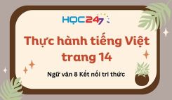 Thực hành tiếng Việt trang 14