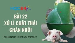 Bài 22: Xử lí chất thải chăn nuôi