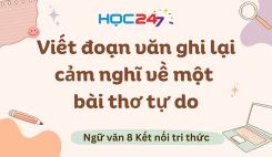 Viết đoạn văn ghi lại cảm nghĩ về một bài thơ tự do
