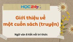 Giới thiệu về một cuốn sách (truyện)