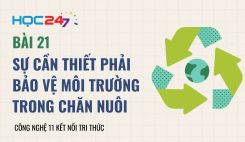 Bài 21: Sự cần thiết phải bảo vệ môi trường trong chăn nuôi