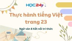 Thực hành tiếng Việt trang 23