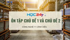 Ôn tập Chủ đề 1 và Chủ đề 2