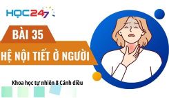 Bài 35: Hệ nội tiết ở người
