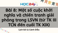 Bài 8: Một số cuộc khởi nghĩa và chiến tranh giải phóng trong LSVN (từ TK III TCN đến cuối TK XIX)