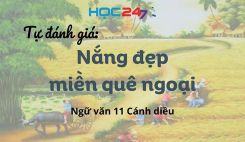 Tự đánh giá: Nắng đẹp miền quê ngoại