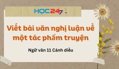 Viết bài văn nghị luận về một tác phẩm truyện