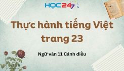 Thực hành tiếng Việt trang 23