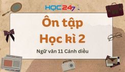 Ôn tập Học kì 2