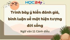 Trình bày ý kiến đánh giá, bình luận về một hiện tượng đời sống