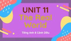 Unit 11 – The Real World