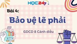 Bài 4: Bảo vệ lẽ phải