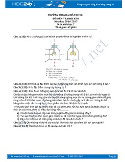 Đề thi học kì 2 môn Sinh học lớp 7 trường THCS Hai Bà Trưng năm 2016-2017 có đáp án