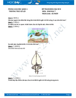 Đề thi học kì 2 môn Sinh học lớp 7 trường THCS Lê Lợi năm 2016-2017 có đáp án