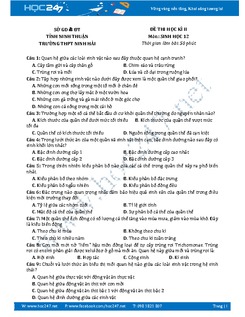 Đề thi học kì 2 môn Sinh học lớp 12 Trường THPT Ninh Hải.