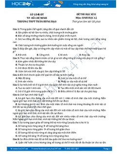 Đề thi học kì 2 môn Sinh học lớp 12 Trường THPT Trần Hưng Đạo.