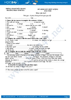 Đề thi khảo sát chất lượng đầu năm tiếng Anh 9 THCS Vĩnh Tuy - Bắc Giang