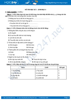 Đề thi Học kì I môn Sinh học 6 có lời giải chi tiết