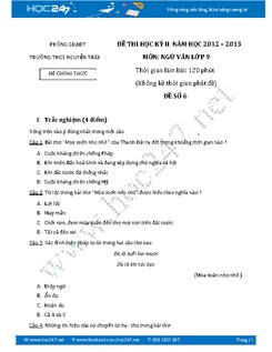 Đề thi học kì 2 Ngữ Văn 9 năm 2013 THCS Nguyễn Trãi