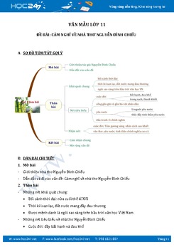 Cảm nghĩ về nhà thơ Nguyễn Đình Chiểu