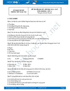 Đề thi giữa HK1 Sinh 11-THPT Ngọc Tảo năm 2016 có đáp án