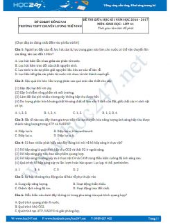 Đề thi giữa HK1 Sinh 11 - THPT chuyên Lương Thế Vinh 2016