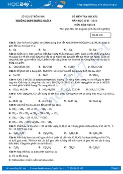 Đề thi học kì 1 Hóa 11 Trường THPT Thống Nhất A có đáp án