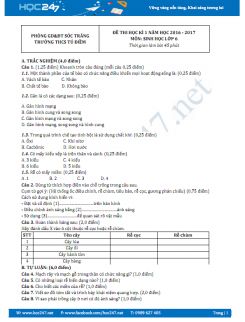 Đề thi HK1 Sinh học 6 năm 2016 - THCS Tú Điềm có đáp án