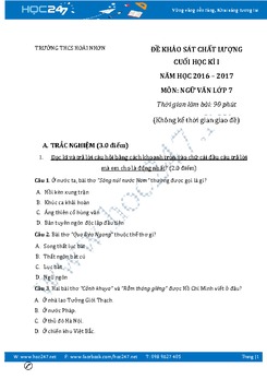 Đề thi học kì 1 môn Ngữ Văn 7 năm 2016 THCS Hoài Nhơn