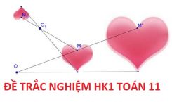 Đề ôn tập thi học kì 1 môn Toán lớp 11 có lời giải - Số 2